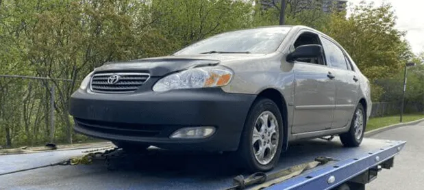 Autos verwerten in Alfter